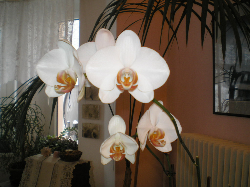 listopad 2008