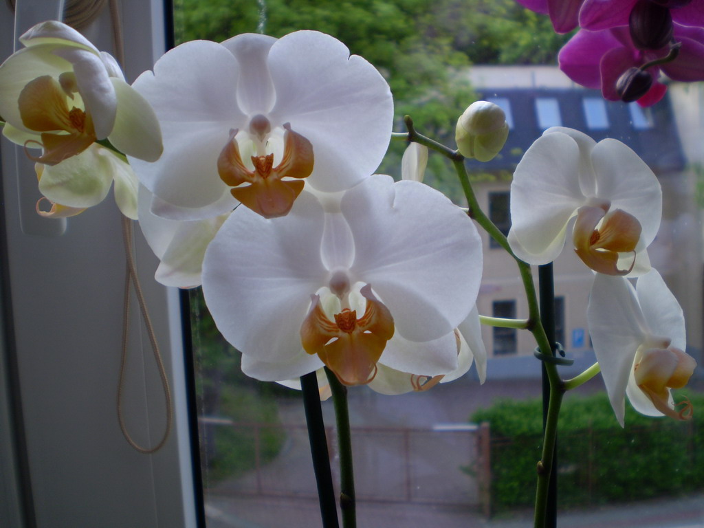 polovina května 2009 196_resize.jpg