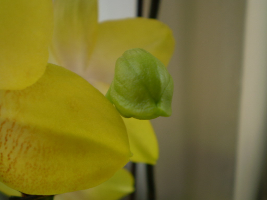 21.5.2009 036_resize.jpg