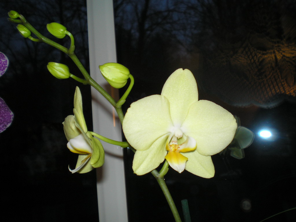 polovina dubna 2008 (1)